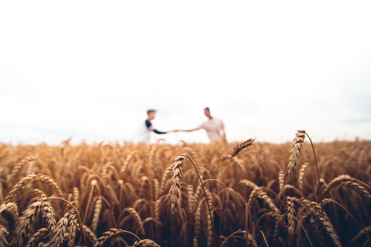 Food & Agriculture