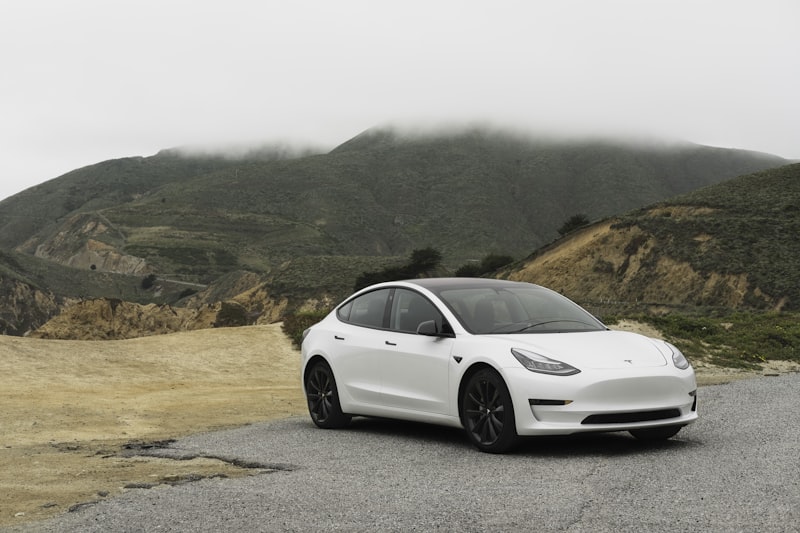 Tesla's Shanghai Gigafactory